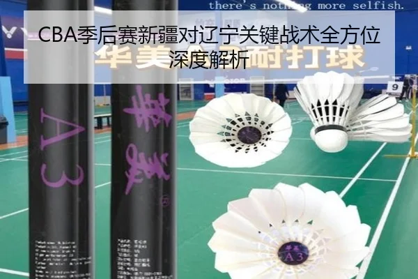 CBA季后赛新疆对辽宁关键战术全方位深度解析
